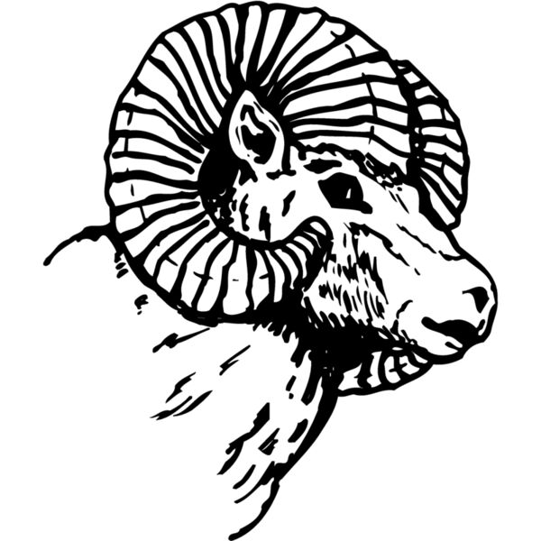 RAM005 Thumbnail