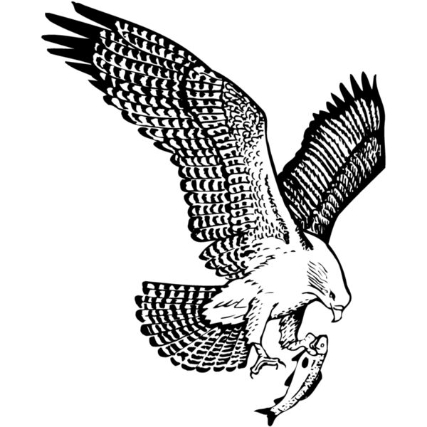 EAGLE022 Thumbnail