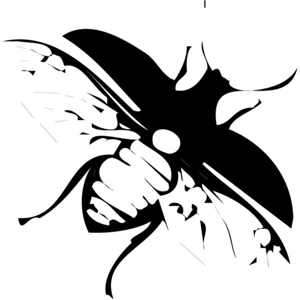 FLY03 Thumbnail