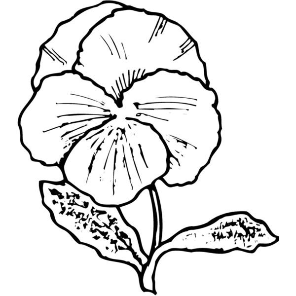FLOWER07 Thumbnail
